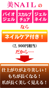 �l�C���P�A