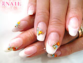 �l�C��