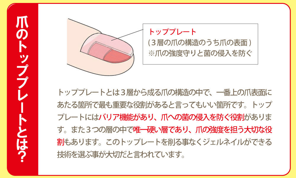 ジェルネイルの常識トッププレート2