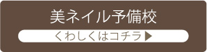 美ネイル予備校詳細