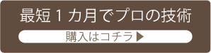 プロネイリストのネイル技術申込